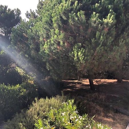 Villa Arethuse - Pyla Sur Mer Luaran gambar